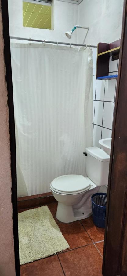 Alba Rent 2 Hotell Quepos Eksteriør bilde